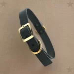 dog collar black