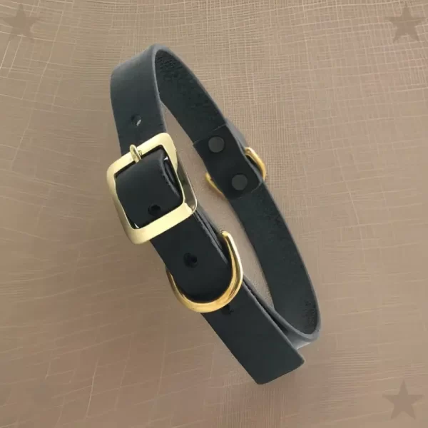 dog collar black
