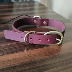 Handmade Leather Dog Collar